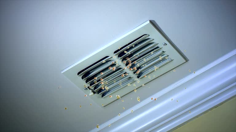 Best Affordable Duct Cleaning Services  in Pine Knoll Shores, NC